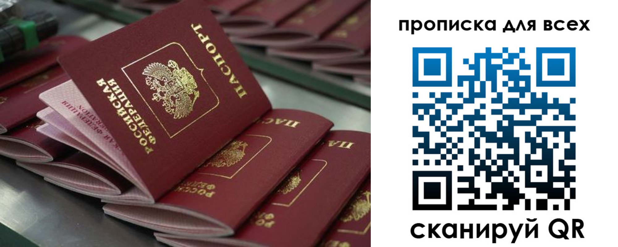 найти адрес прописки в Каргополе